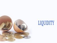 Egg shell and coins with investment and business text conceptual.