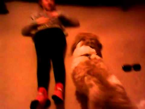Dog And Girl Viral Video
